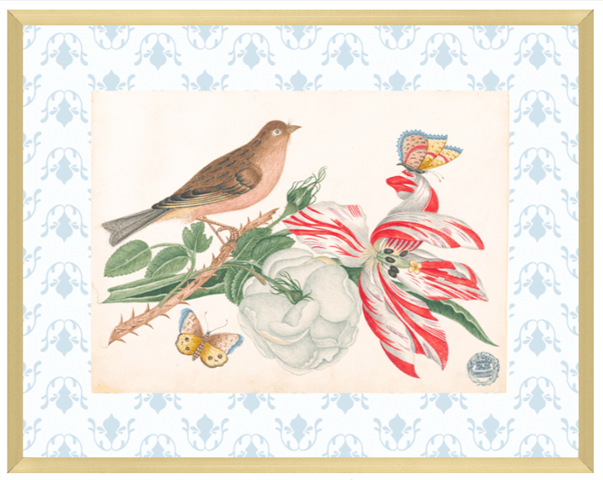 Bright Botanical Study, 11x14 Giclee Print : STUDY 8 - Liza Pruitt