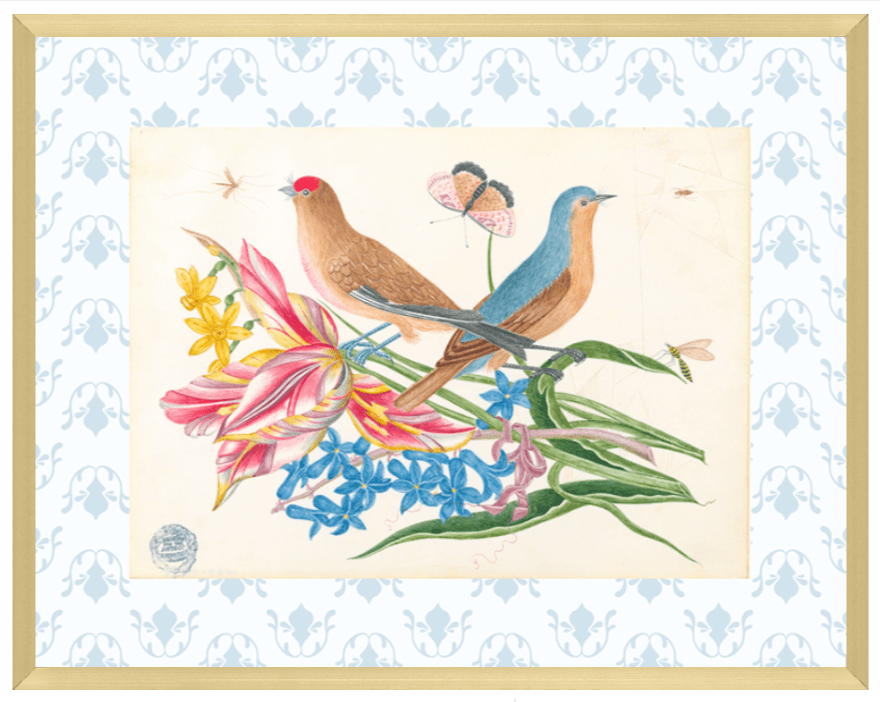 Bright Botanical Study, 11x14 Giclee Print : STUDY 9 - Liza Pruitt