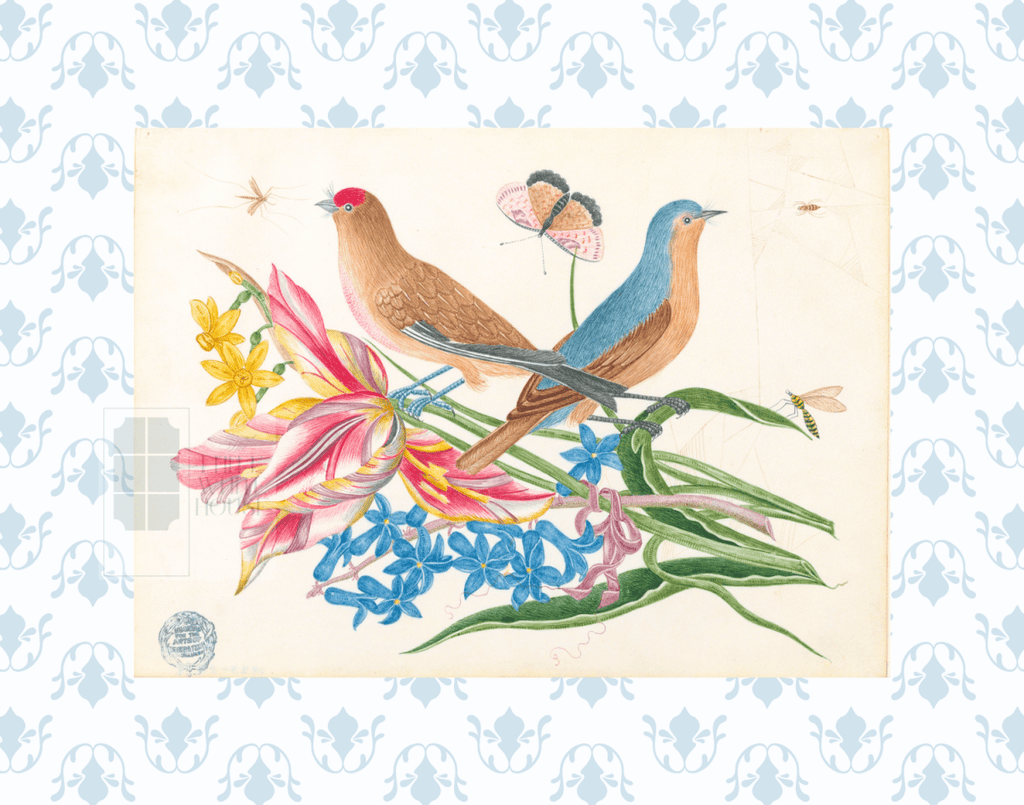 Bright Botanical Study, 11x14 Giclee Print : STUDY 9 - Liza Pruitt