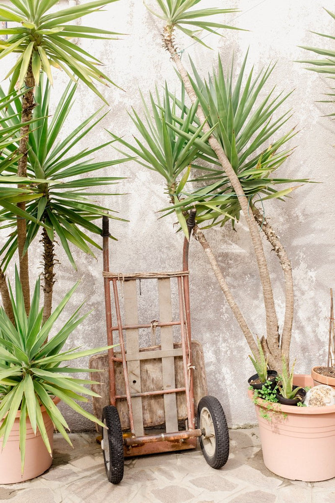 Burano V - Liza Pruitt