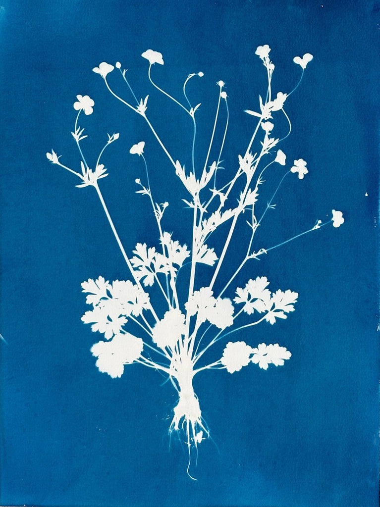 Buttercup Silhouette | 24" h x 18" w - Liza Pruitt