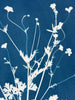 Buttercup Silhouette | 24" h x 18" w - Liza Pruitt