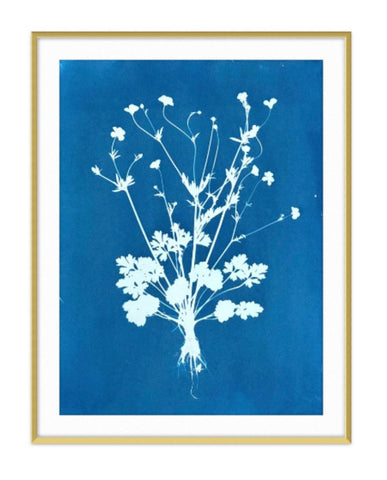 Buttercups | 24" h x 18" w - Liza Pruitt