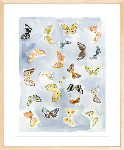 Butterfly Rainbow Chambray, Fine Art Print - Liza Pruitt