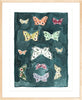 Butterfly Rainbow Indigo, Fine Art Print - Liza Pruitt