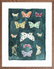 Butterfly Rainbow Indigo, Fine Art Print - Liza Pruitt