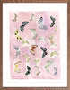 Butterfly Rainbow Lilac, Fine Art Print - Liza Pruitt