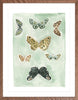 Butterfly Rainbow Mint, Fine Art Print - Liza Pruitt