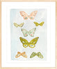 Butterfly Rainbow Sky, Fine Art Print - Liza Pruitt