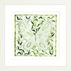 Butterfly Vine, Fine Art Print - Liza Pruitt