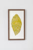 Chartreuse Summer Leaf I | 25" h x 14" w | Framed - Liza Pruitt