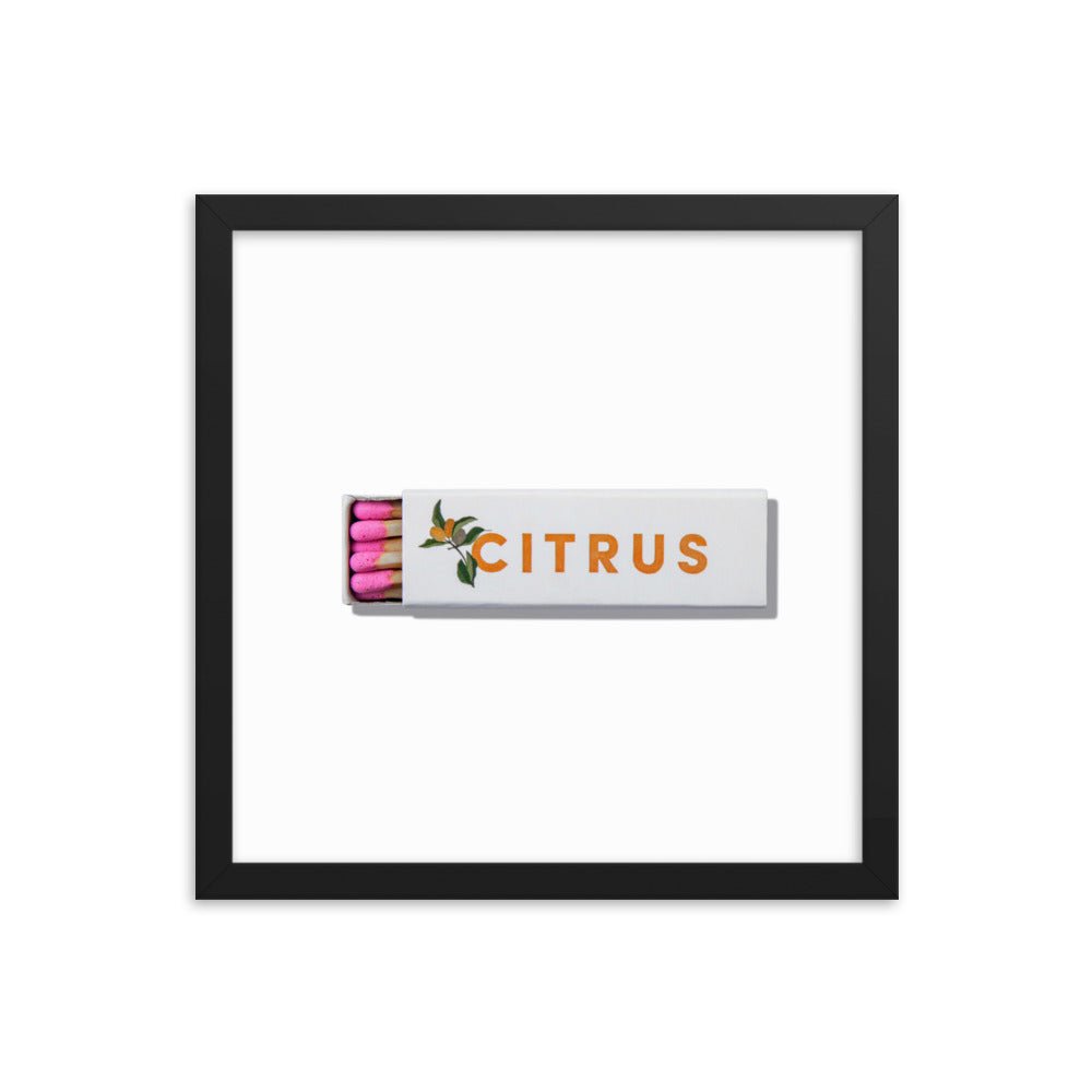 Citrus Club Framed Print - Liza Pruitt