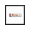 Citrus Club Framed Print - Liza Pruitt