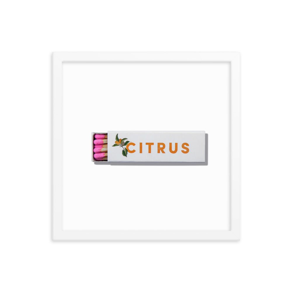 Citrus Club Framed Print - Liza Pruitt