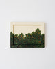 Citrus III | 6.5" h x 8.5" w | Framed - Liza Pruitt