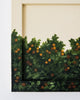 Citrus III | 6.5" h x 8.5" w | Framed - Liza Pruitt
