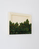 Citrus III | 6.5" h x 8.5" w | Framed - Liza Pruitt