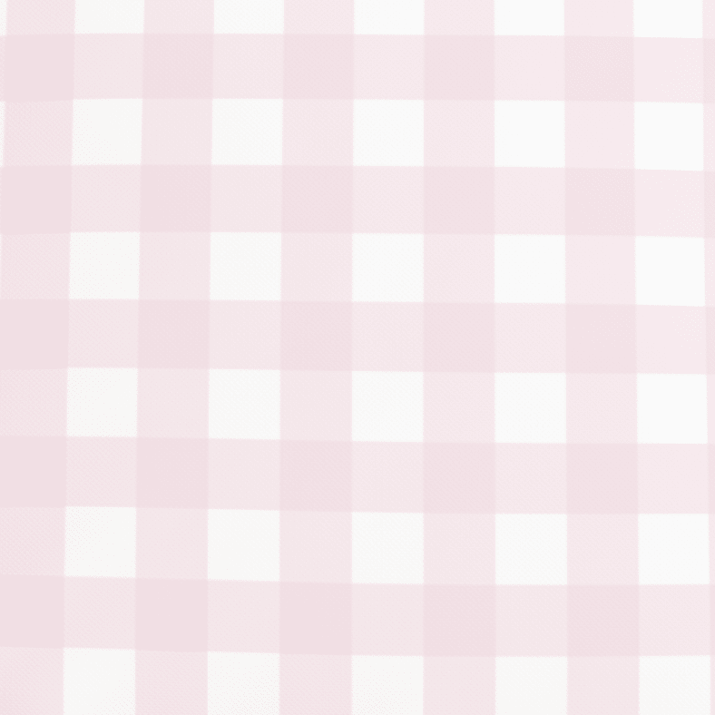 Classic Pink Check Pillow - Liza Pruitt