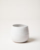 Cloud Cup - Liza Pruitt