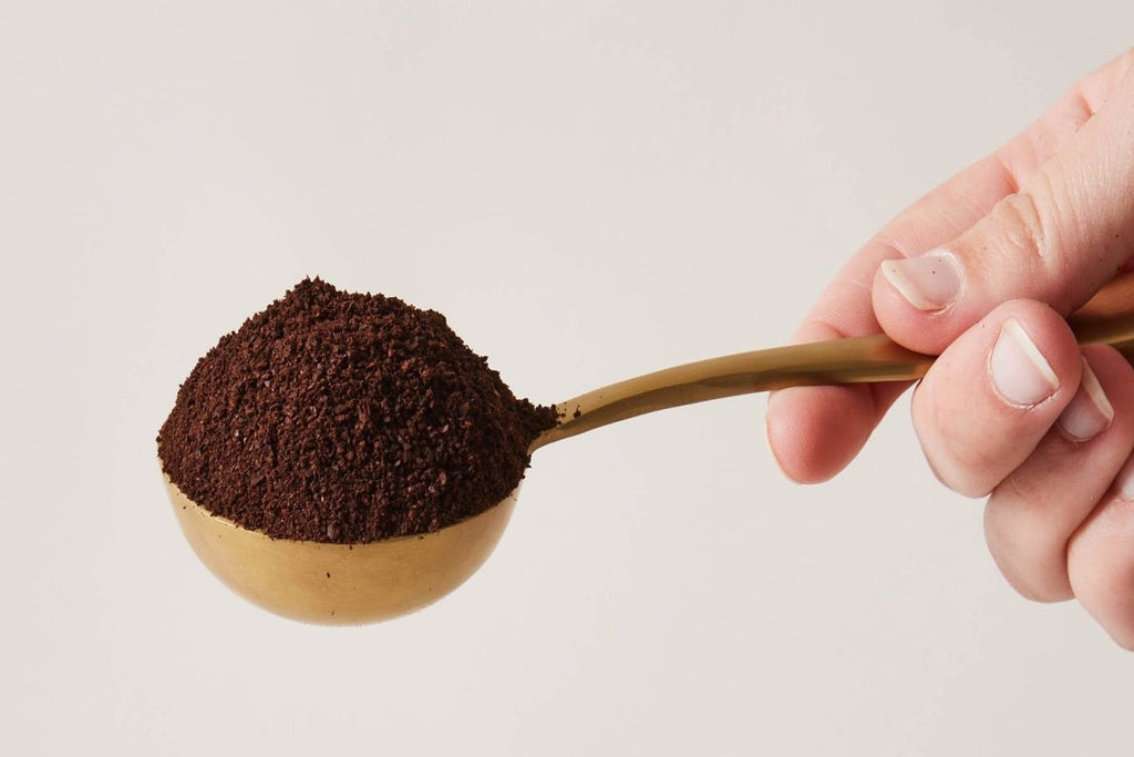 Coffee Scoop - Liza Pruitt