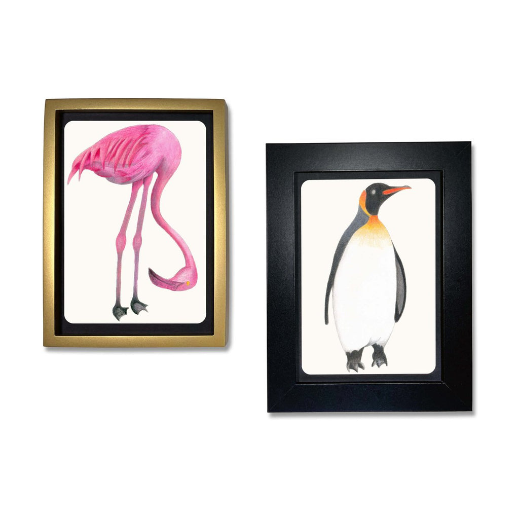 Coloring Postcards w/ 6 Designs (30 cards) - Liza Pruitt