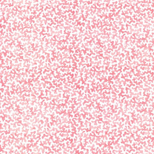 Coralcoast in Coral - Liza Pruitt