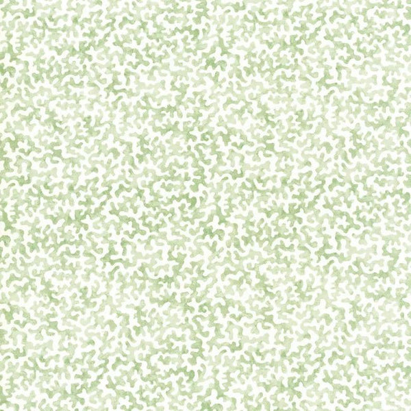 Coralcoast in Green - Liza Pruitt