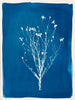 Cornflower Silhouette | 24" h x 18" w - Liza Pruitt