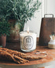 Cultivate & Garden Candle - Liza Pruitt