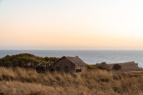 Driftwood Haven - Liza Pruitt