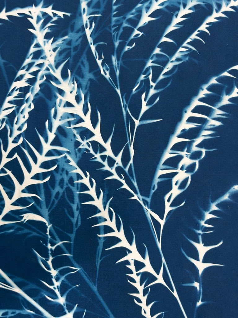 Duet of Silhouettes Diptych | 20" h x 32" w - Liza Pruitt