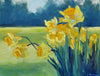 Early Spring Daffodils | 11" h x 14" w - Liza Pruitt