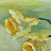 Early Spring Daffodils | 11" h x 14" w - Liza Pruitt