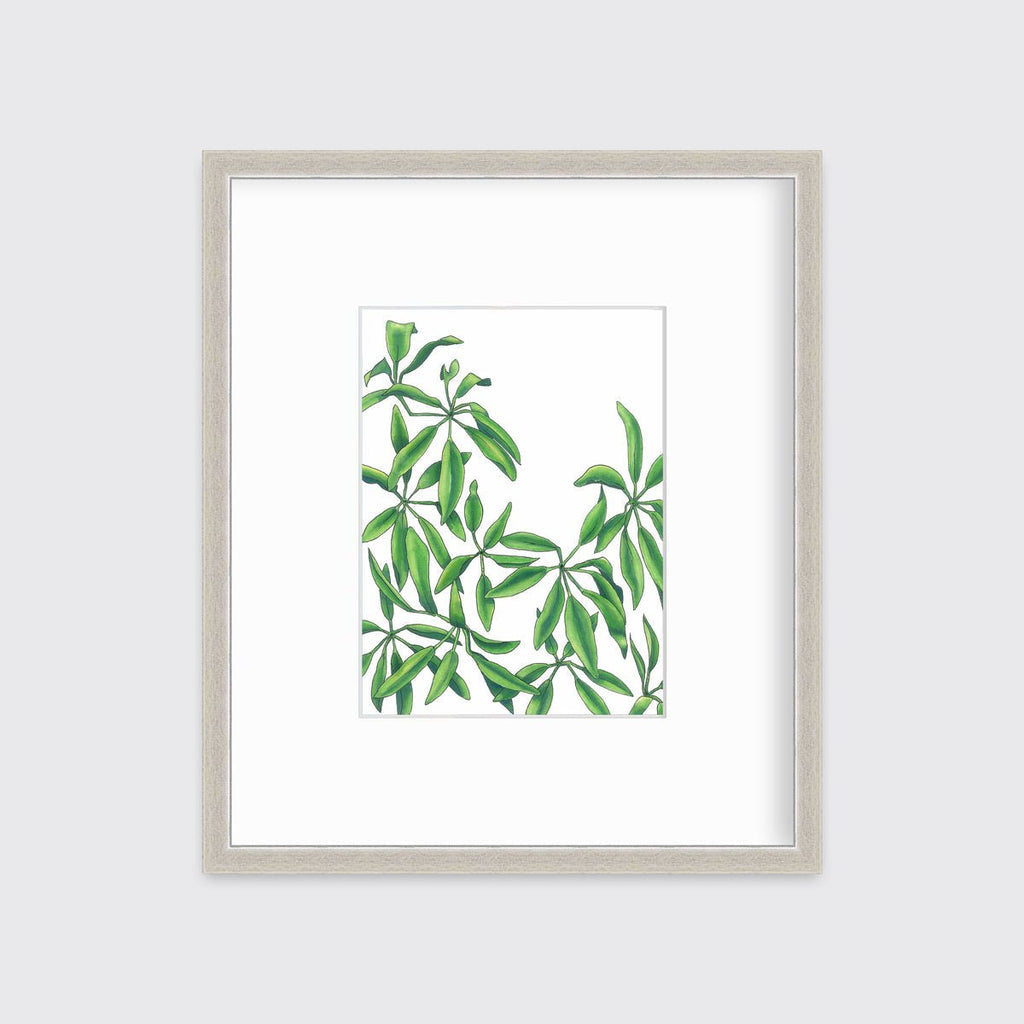 Earth Stars - Open Edition Paper Print - Liza Pruitt