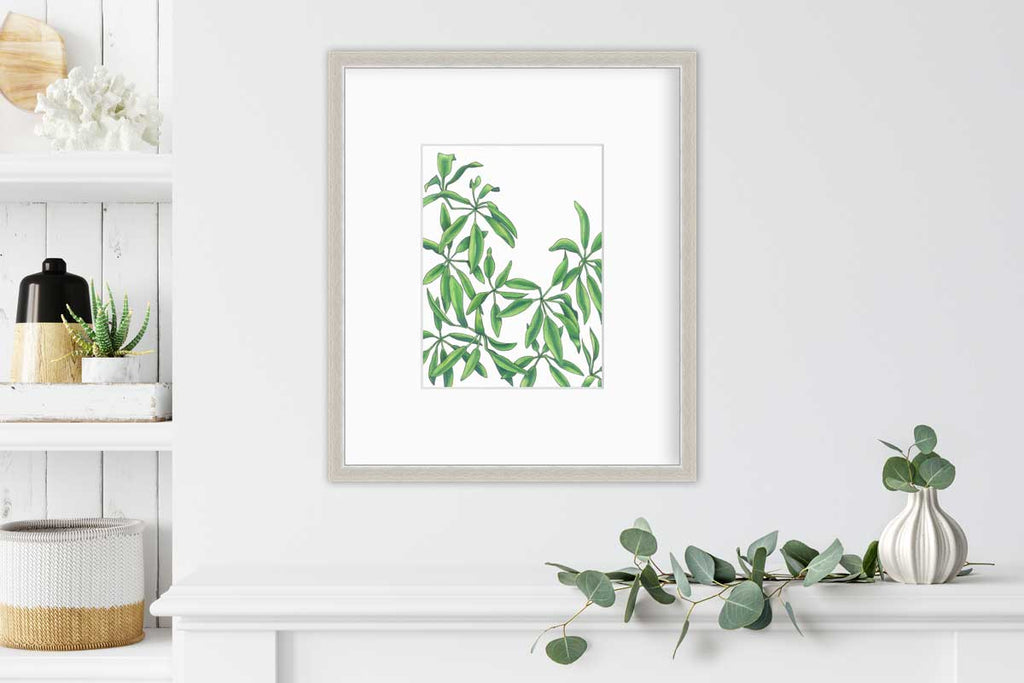 Earth Stars - Open Edition Paper Print - Liza Pruitt