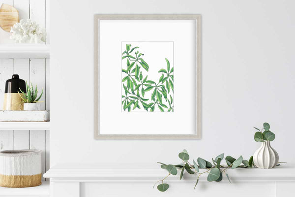 Earth Stars - Open Edition Paper Print - Liza Pruitt
