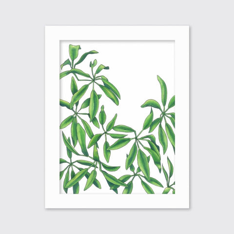 Earth Stars - Open Edition Paper Print - Liza Pruitt