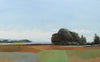 East Coast View - Limited Edition Canvas Print - Liza Pruitt