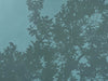 Emerald Hour | 30" h x 40" w - Liza Pruitt