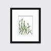 Eucalyptus - Limited Edition Paper Print - Liza Pruitt