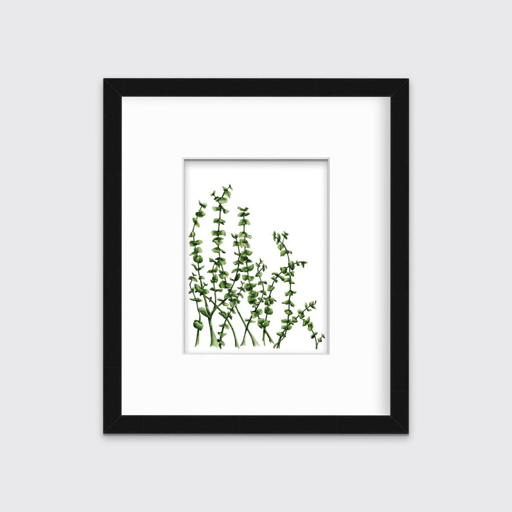 Eucalyptus - Limited Edition Paper Print - Liza Pruitt