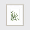 Eucalyptus - Limited Edition Paper Print - Liza Pruitt
