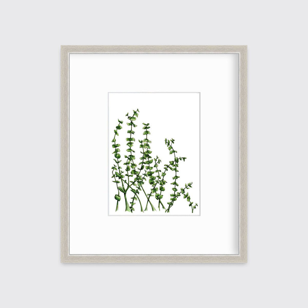 Eucalyptus - Limited Edition Paper Print - Liza Pruitt