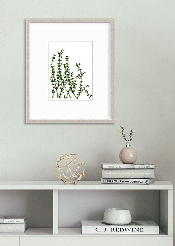 Eucalyptus - Limited Edition Paper Print - Liza Pruitt