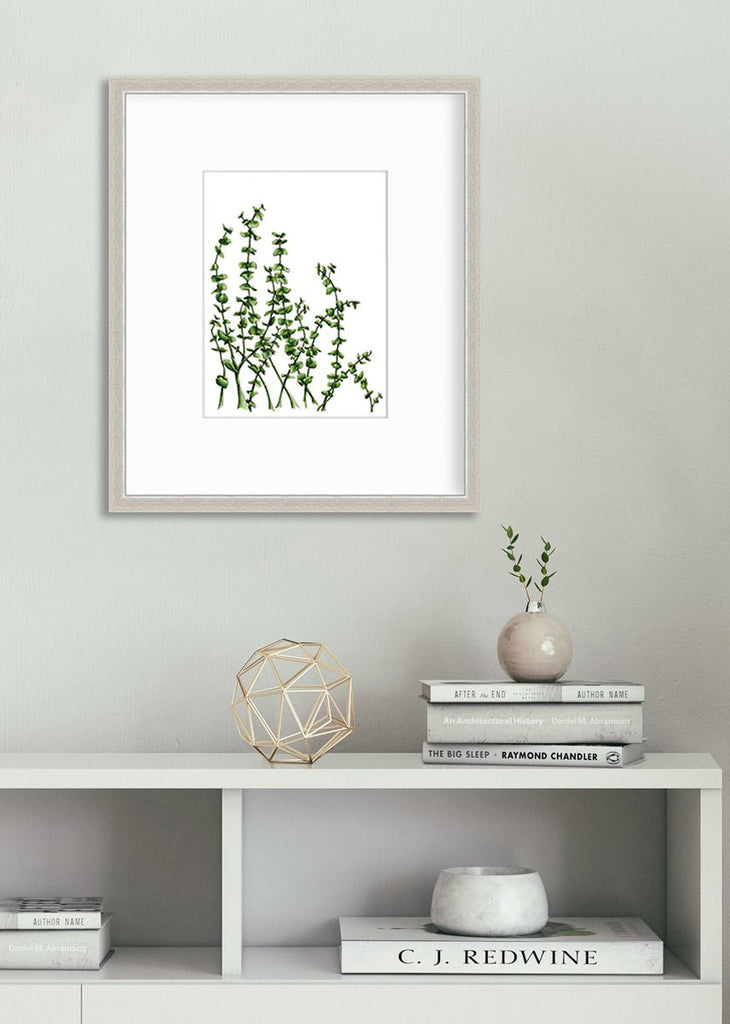 Eucalyptus - Limited Edition Paper Print - Liza Pruitt