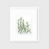 Eucalyptus - Limited Edition Paper Print - Liza Pruitt