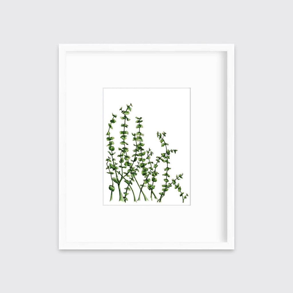 Eucalyptus - Limited Edition Paper Print - Liza Pruitt
