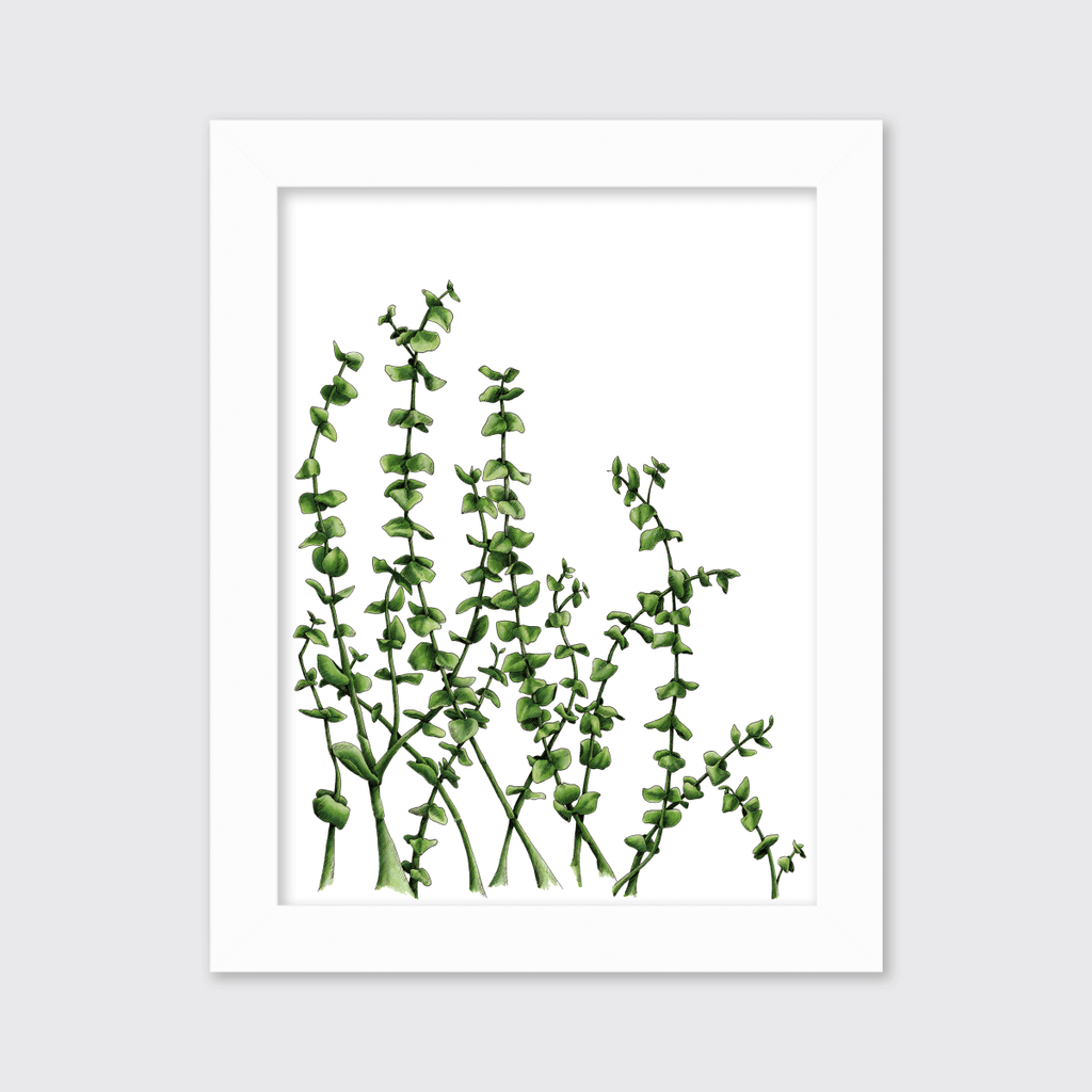 Eucalyptus - Limited Edition Paper Print - Liza Pruitt