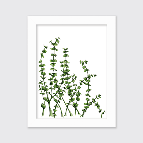 Eucalyptus - Limited Edition Paper Print - Liza Pruitt