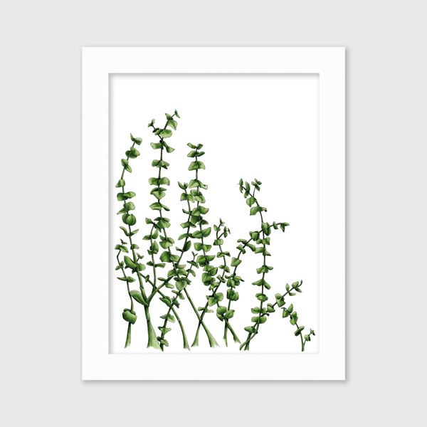 Eucalyptus - Limited Edition Paper Print - Liza Pruitt